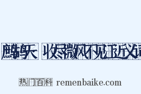 鹧鸪天·收尽微风不见江近义词是什么意思的图片